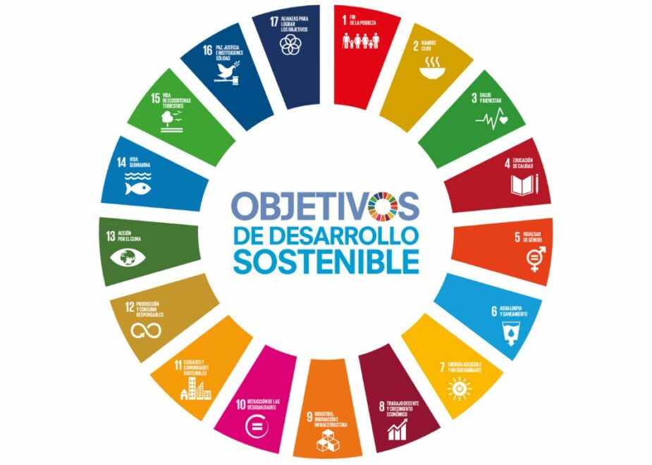 ODS en la organización: producción y consumo responsable