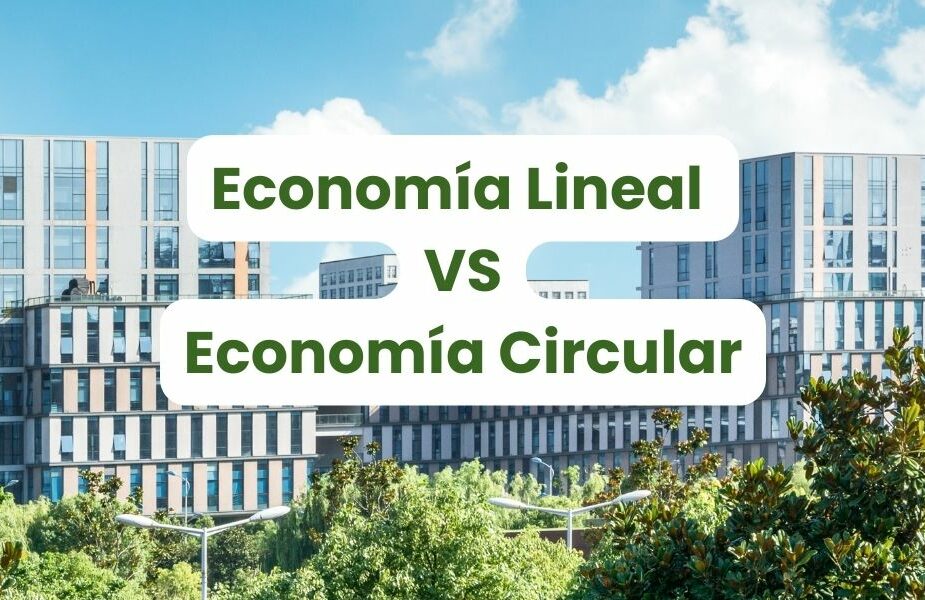 Economía Circular vs. Economía Lineal: Comprendiendo el Futuro Sostenible